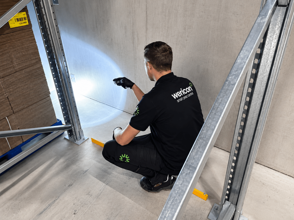 Inspectie Wericon