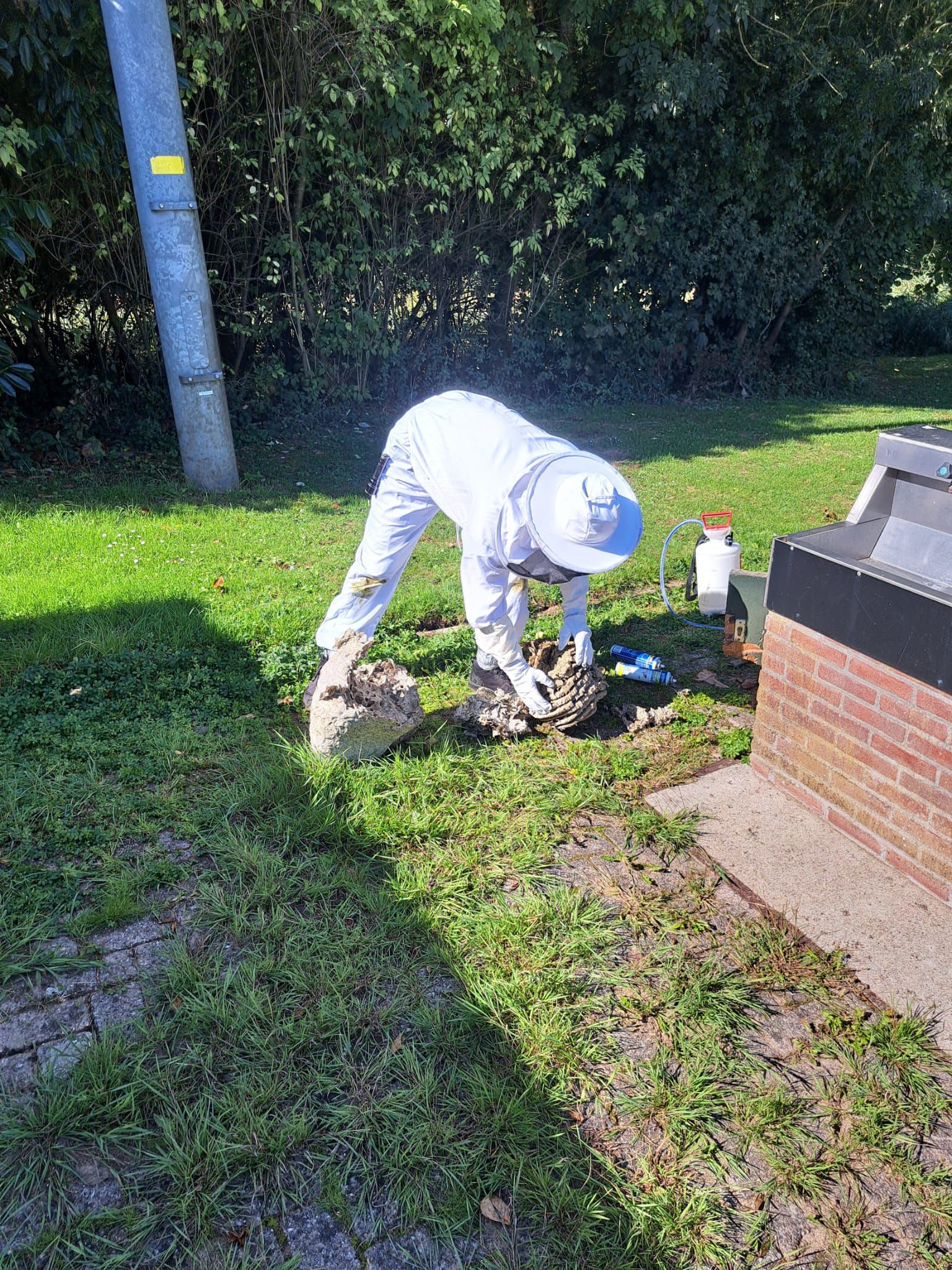 Wespennest verwijderen